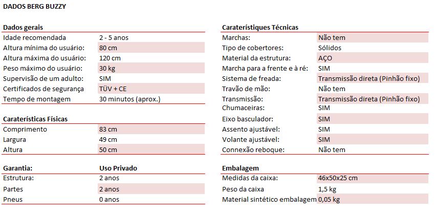 dados tecnicos carro pedais berg buzzy