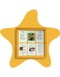 Vitrina exterior estrella de mar