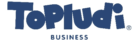topludi business