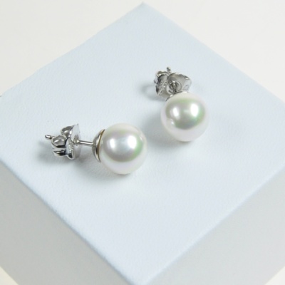 Pendientes clásicos con perlas de 8 mm. Elíga el color!