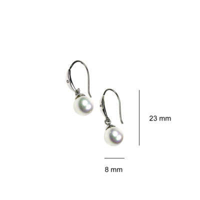 Sterling Silver Earrings 3