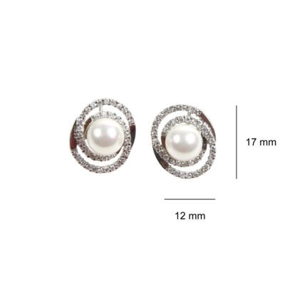 Sterling Silver Earrings 2