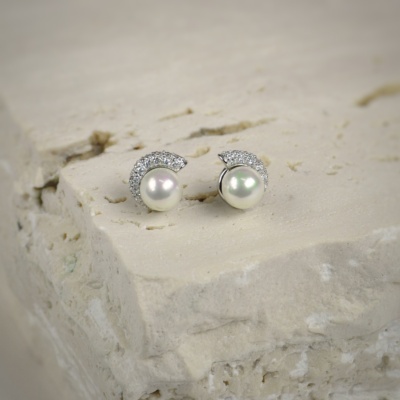 Sterling Silver Earrings 2