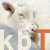 kbT