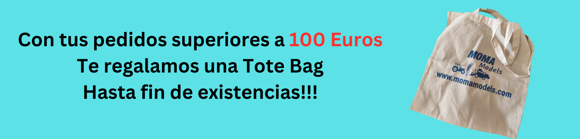 Tote bolsa 2025