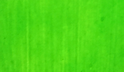 Acrílicos Barna-Art: 500 ml: verde fluo