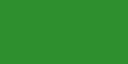 Caran d'Ache: neocolor II (pastel acuarelable): Emerald green