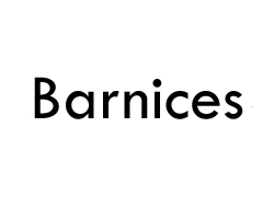 Barnices