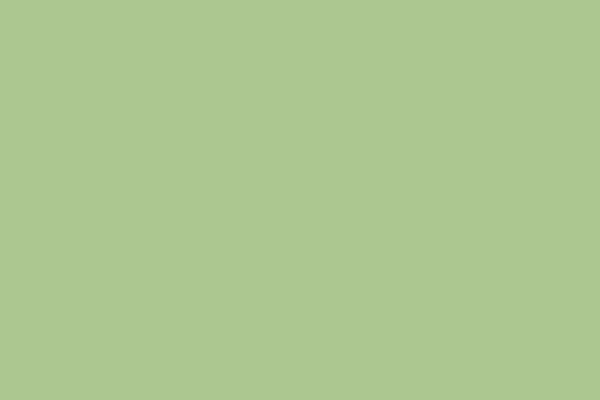 Chameleon: rotulador de doble punta: Green Apple
