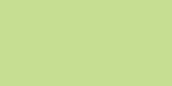 Copic ciao: YG06: Yellowish green