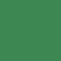 Cretacolor: Aquamonolith: verde oliva oscuro