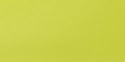 Liquitex: acrílico Basics: 118 ml: amarillo verdoso brillante