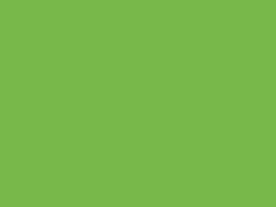 Liquitex: rotulador Paint Marker (punta gruesa): Verde lima vivo