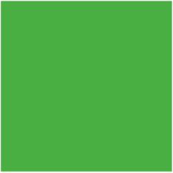 Molotow: ONE4ALL: rotulador 227HS (punta redonda de 4 mm): KACAO77 Universes Green