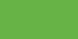 Mtn Paint: 200 ml: brilliant light green