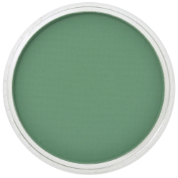 PanPastel: pastilla de 9 ml: Permanent Green Shade