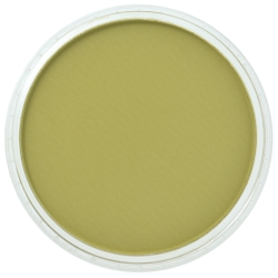 PanPastel: pastilla de 9 ml: Bright Yellow Green Shade