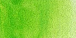 Schmincke: horadam aquarell: godet completo: verde primavera