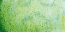 Schmincke: horadam aquarell: tubo 15 ml: shire green