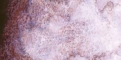 Schmincke: horadam aquarell: medio godet: tundra pink