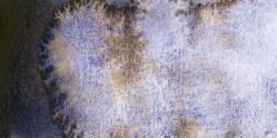 Schmincke: horadam aquarell: medio godet: tundra violet