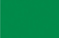 Color & Co: tinta linóleo: 250 ml: verde brillante