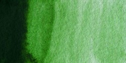 Winsor & Newton: acuarela artist: 5 ml: verde hooker