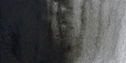 Winsor & Newton: acuarela artist: godet entero negro marfil
