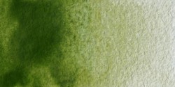 Winsor & Newton: acuarela artist: godet entero verde oliva