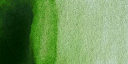 Winsor & Newton: acuarela artist: 1/2 godet: verde vejiga permanente