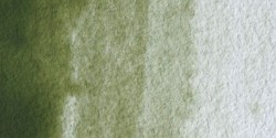 Winsor & Newton: acuarela artist: 14 ml: tierra verde (sombra amarilla)
