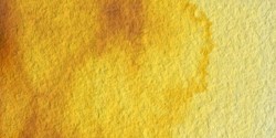 Winsor & Newton: acuarela artist: godet entero amarillo transparente