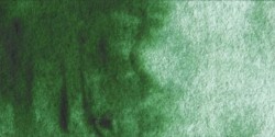 Winsor & Newton: acuarela cotman: 1/2 godet: verde hook oscuro