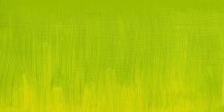 Winsor & Newton: óleo artist: 37 ml: verde pálido libre de cadmio