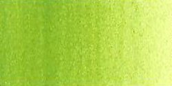 Winsor & Newton: winton 200 ml: tono verde cromo