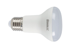 Bombilla LED reflectora DUOLEC R80 luz fría 10W