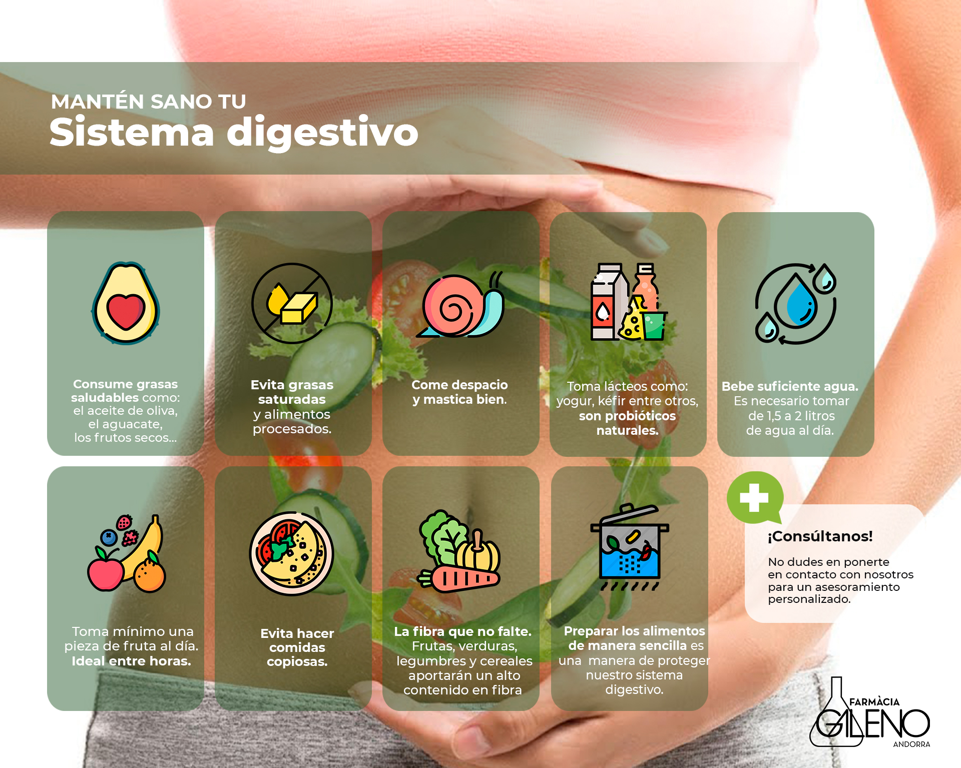 La importancia del sistema digestivo