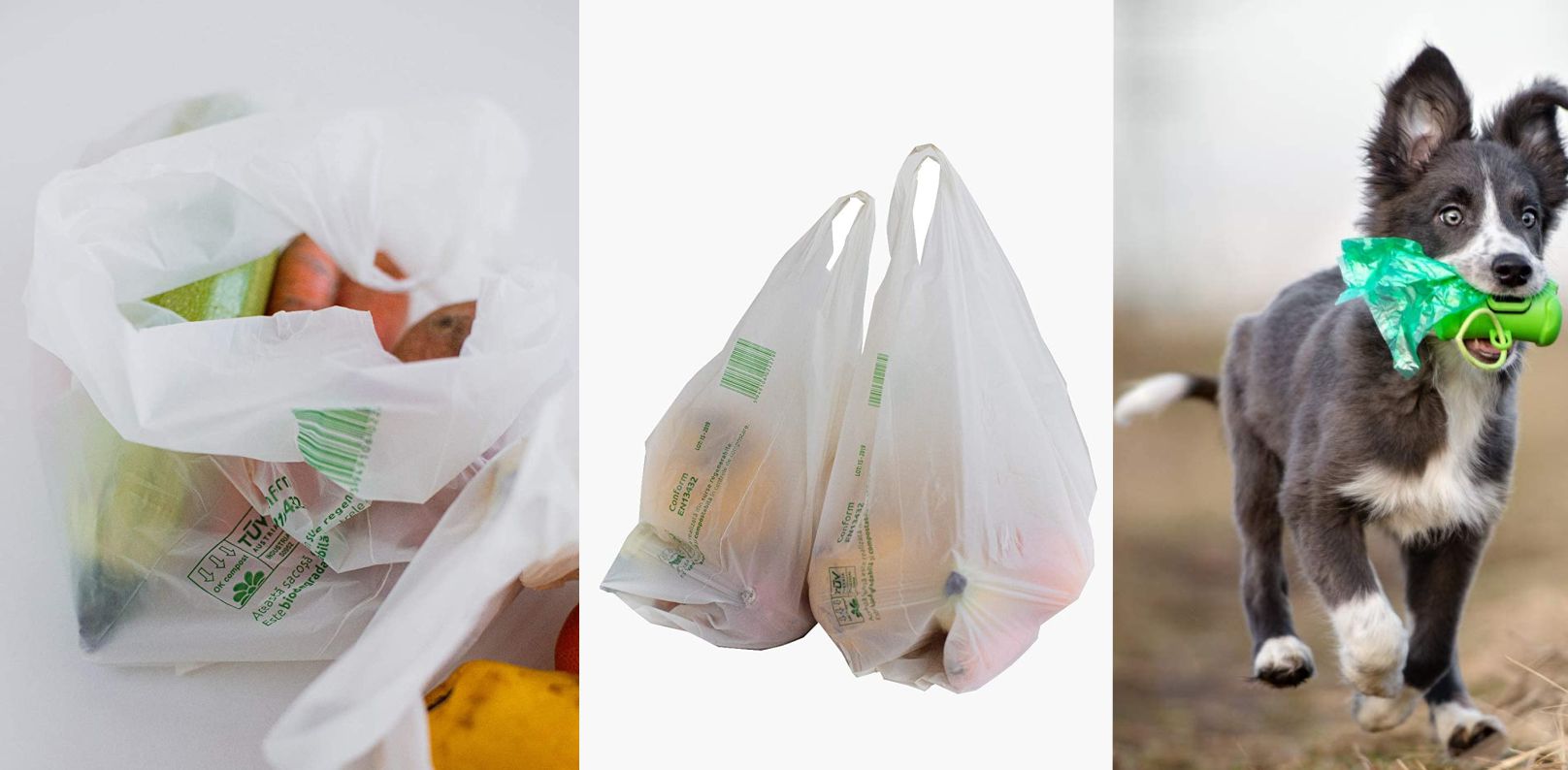 Certified Home - Bolsas compostables para excrementos de perro (120  bolsas), bolsas biodegradables, arena para gatos, almidón vegetal, bolsas
