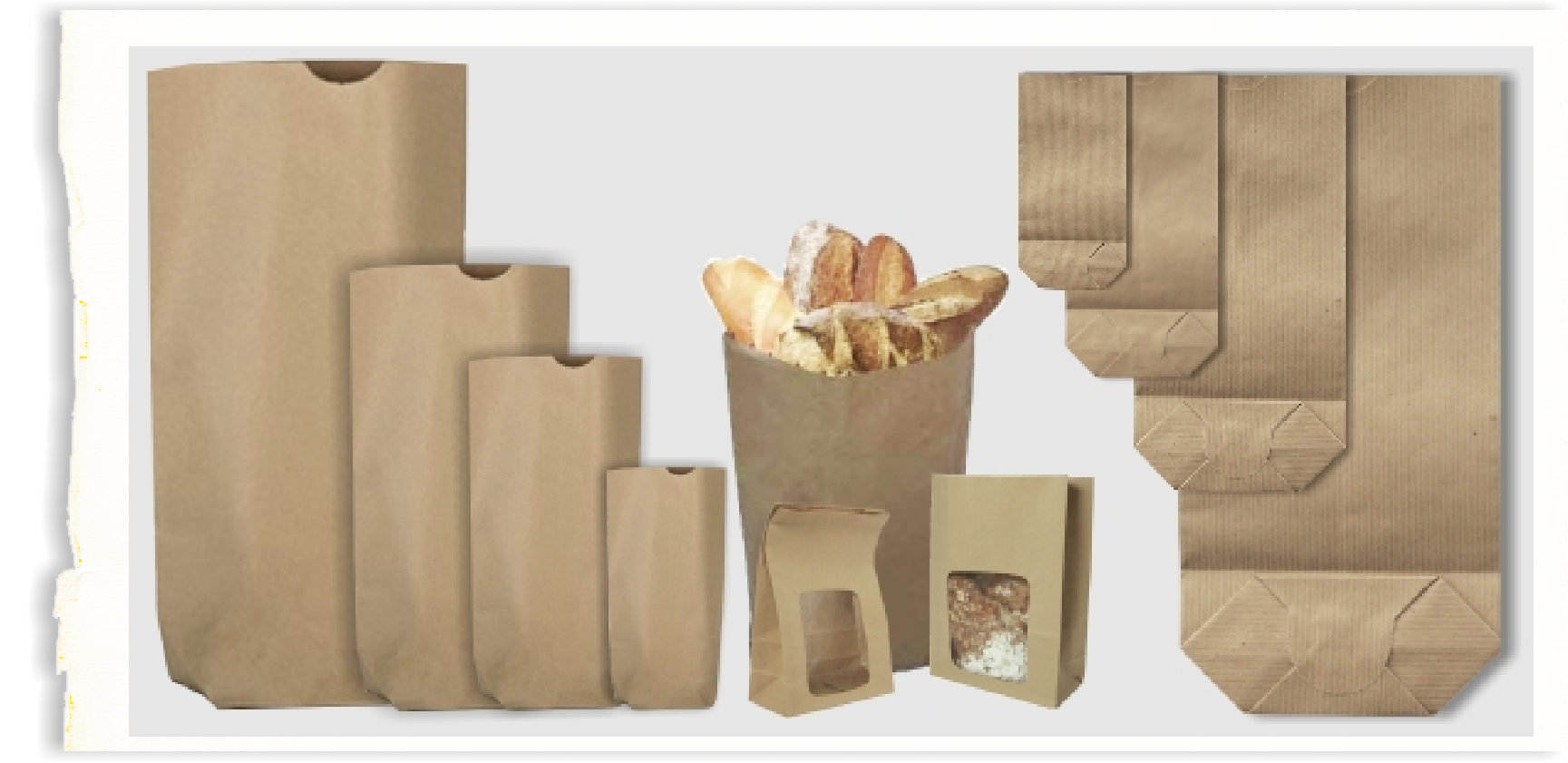 Bolsas de papel para tiendas: ¿Por qué usarlas en tu negocio?