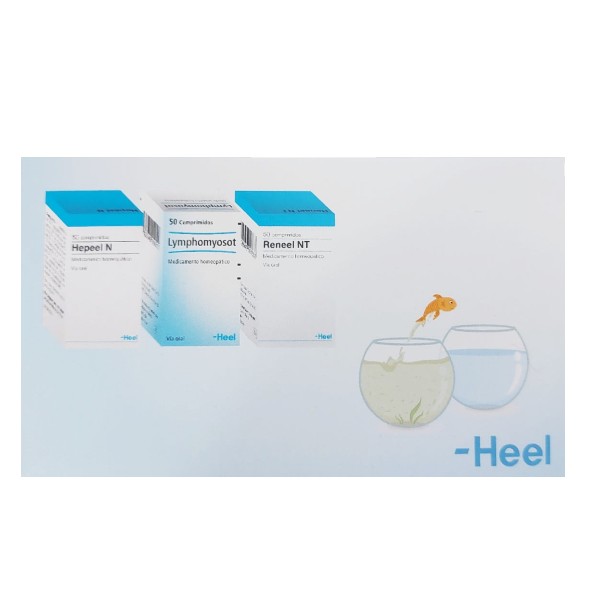 Heel Kit Terapia Detoxificación