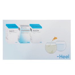 Heel Kit Terapia Detoxificación