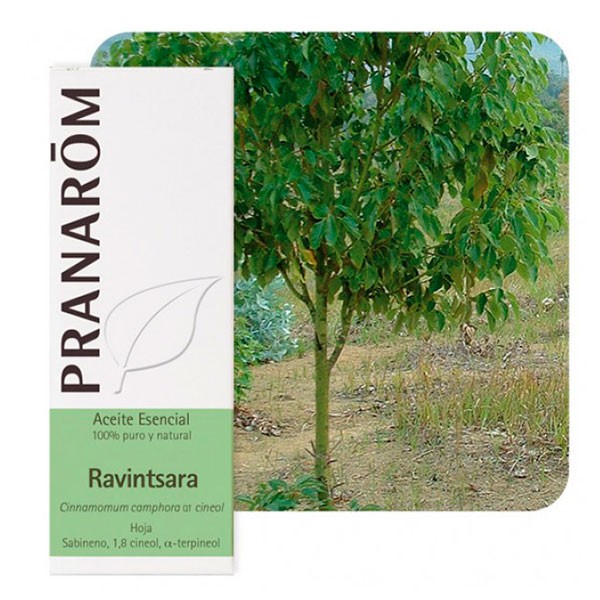 Pranarom Aceite Esencial Ravintsara Bio | Farmaconfianza | Farmacia Online