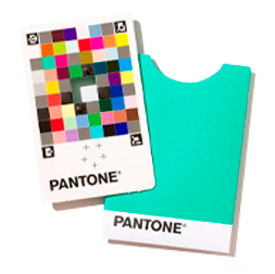 PANTONE COLOR MATCH CARD PCNCT-CARD