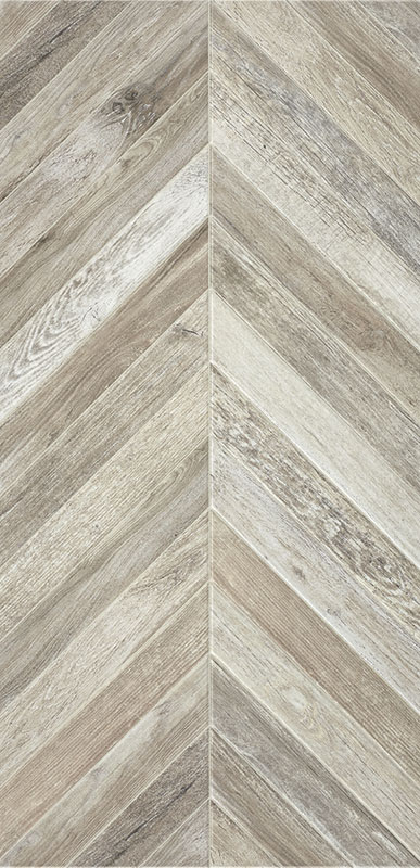Alaplana Altair Gris 50x100