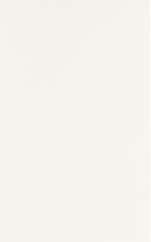 Alaplana Aspen White Gloss 25x50