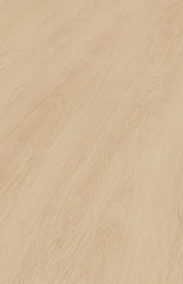 Kronotex Mammut Plus Elegance Oak Beige D81142