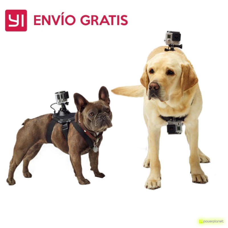Arnés mascota Yi Action Grande