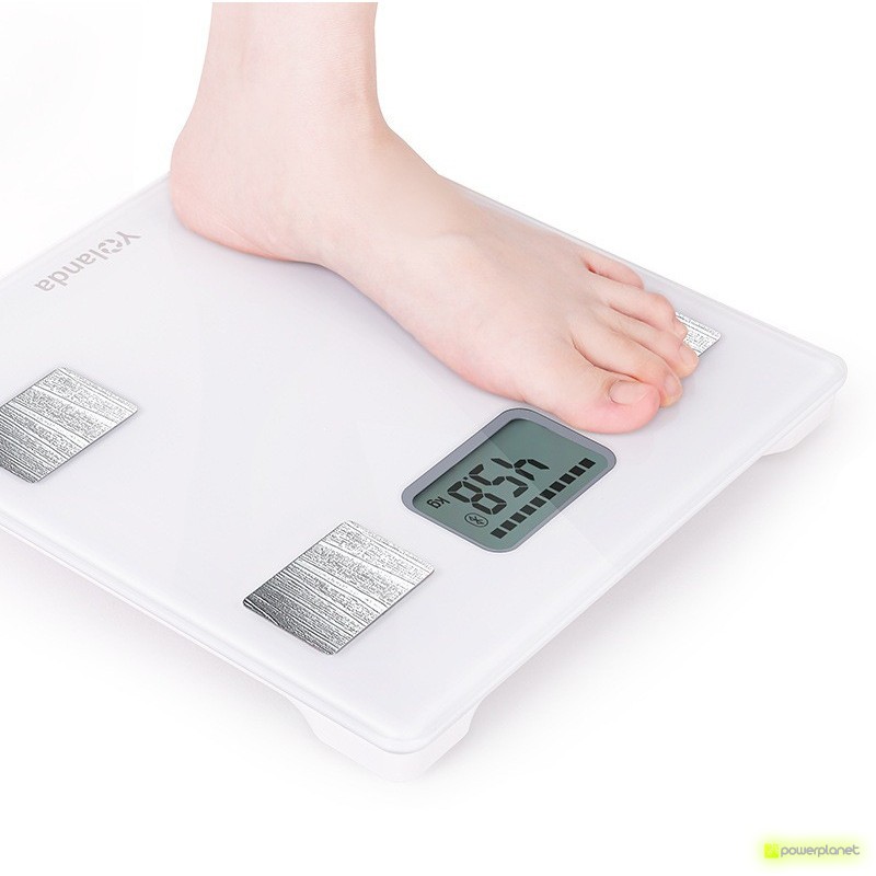 Escala Yolanda CS20G inteligente - Item4