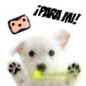 GPS Pet D69 - Item