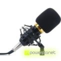 Micrófono Estudio BT-800 - Ítem
